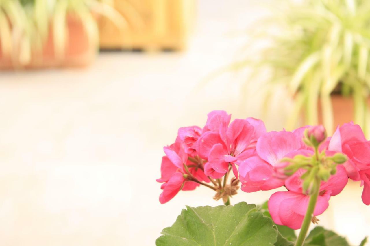 Bed & Breakfast D'orleans